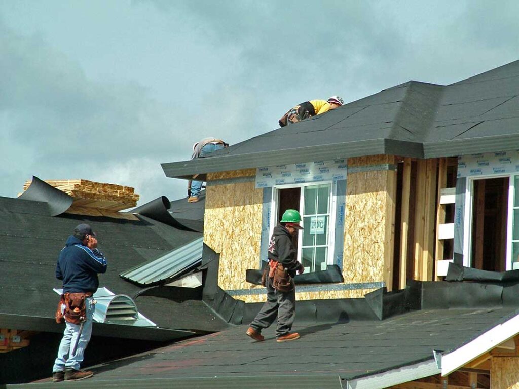 A homeowner inspects clean gutters beside a snow-ready roof with a ladder safely positioned on the ground.